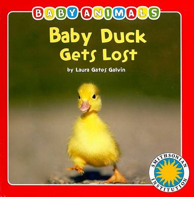Book cover for Baby Duck Gets Lost