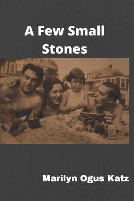 Book cover for A Few Small Stones