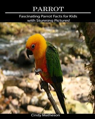 Book cover for Parrot