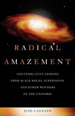 Cover of Radical Amazement