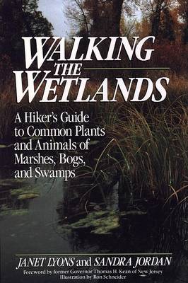 Book cover for Walking the Wetlands