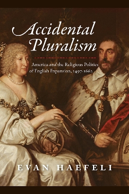 Book cover for Accidental Pluralism