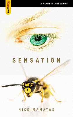 Book cover for Sensation