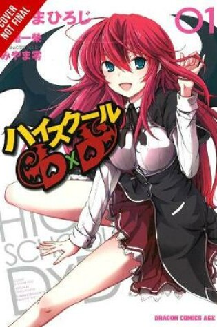 Cover of High School DxD, Vol. 1