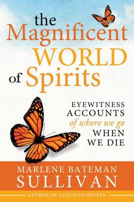 Book cover for The Magnificient World of Spirits