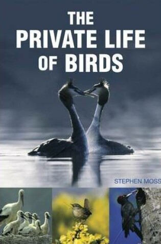 Cover of The Private Life of Birds
