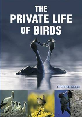 Book cover for The Private Life of Birds