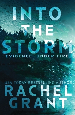 Book cover for Into the Storm