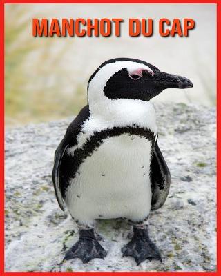 Book cover for Manchot du Cap