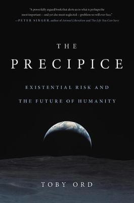 Book cover for The Precipice