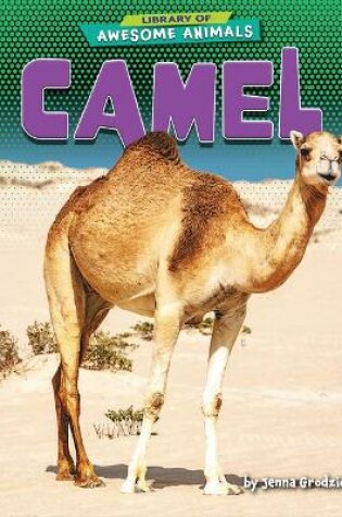 Cover of Camel