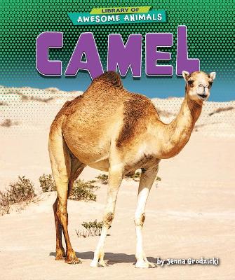 Cover of Camel