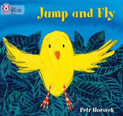 Cover of Jump and Fly
