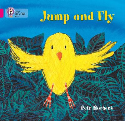 Cover of Jump and Fly