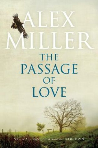 Cover of The Passage of Love