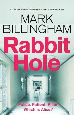 Book cover for Rabbit Hole