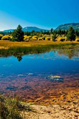 Book cover for A Beautiful View of Lake Tahoe on the Nevada Side