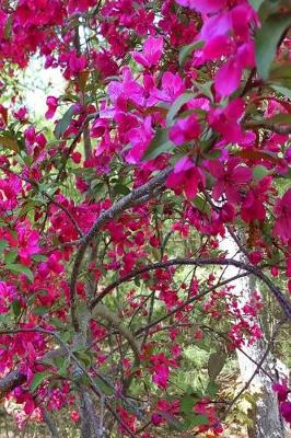 Cover of Springtime 2019 Daily Planner Glorious Flowering Tree 384 Pages