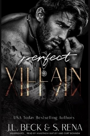 Cover of Perfect Villain