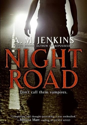 Book cover for Night Road