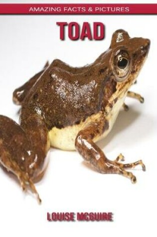 Cover of Toad