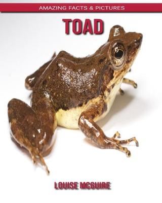 Book cover for Toad