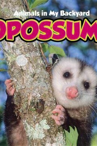 Cover of Opossums