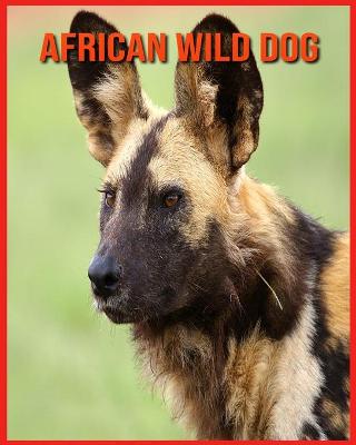 Book cover for African wild dog