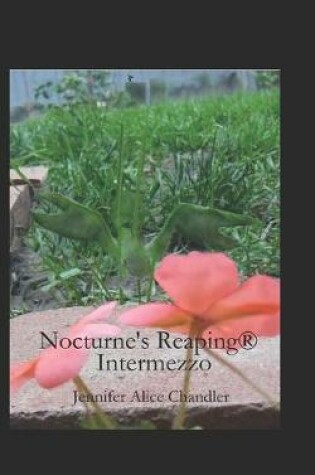 Cover of Intermezzo