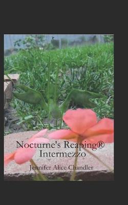 Cover of Intermezzo