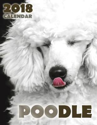 Book cover for Poodle 2018 Calendar (UK Edition)