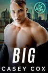 Book cover for Big