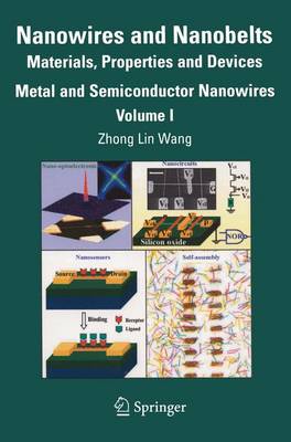 Book cover for Nanowires and Nanobelts