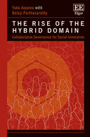 Cover of The Rise of the Hybrid Domain