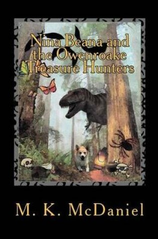 Cover of Nina Beana and the Owenroake Treasure Hunters