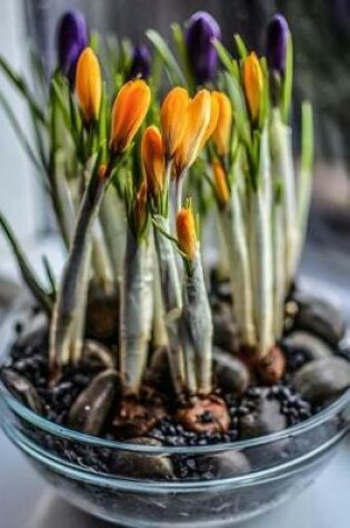 Cover of Pretty Purple and Yellow Spring Crocus Flowers in a Bowl Journal