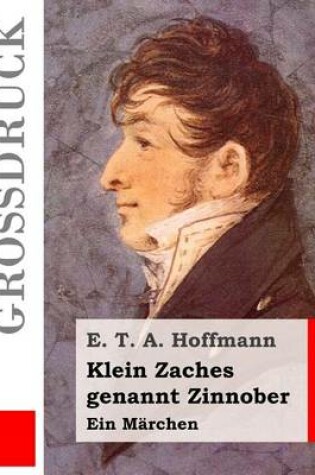 Cover of Klein Zaches genannt Zinnober (Großdruck)