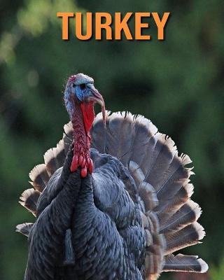 Book cover for Turkey