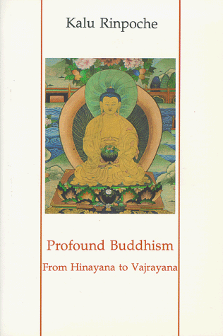 Book cover for Profound Buddhism