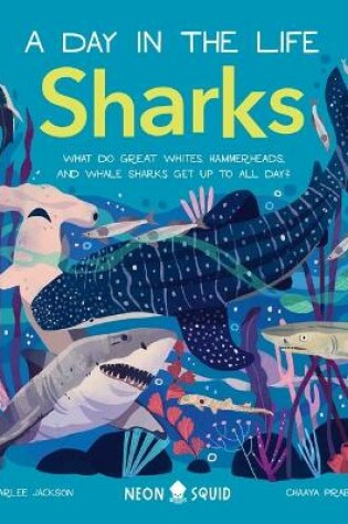 Cover of Sharks (a Day in the Life)