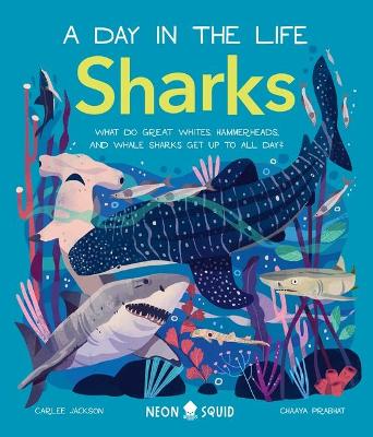 Cover of Sharks (a Day in the Life)