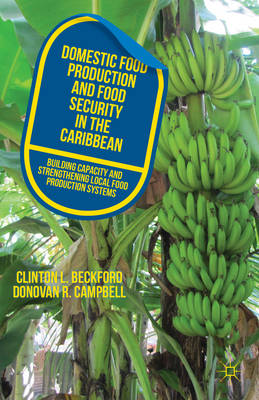 Book cover for Domestic Food Production and Food Security in the Caribbean