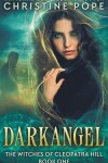 Book cover for Darkangel