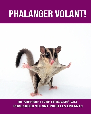 Book cover for Phalanger Volant! Un Superbe Livre Consacré aux Phalanger Volant pour les Enfants