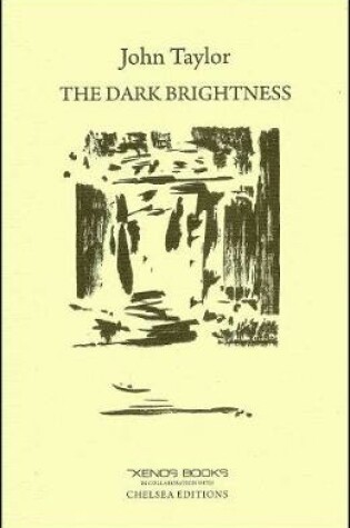 Cover of The Dark Brightness