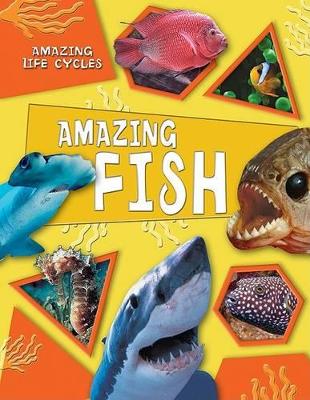 Cover of Amazing Fish