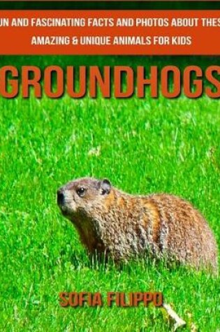 Cover of Groundhogs