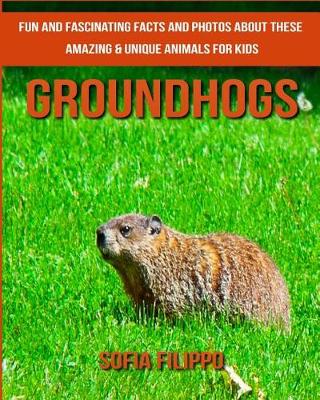 Book cover for Groundhogs