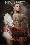 Book cover for Mending Scars
