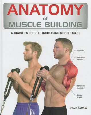 Cover of Anatomy of Muscle Building